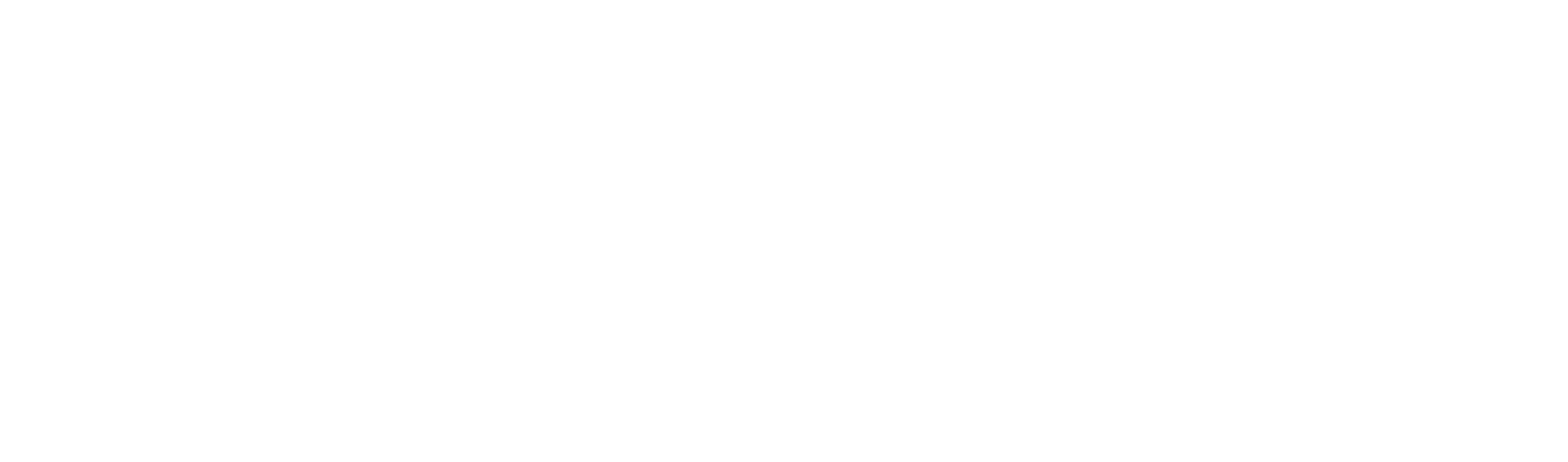 EMSTEEL logo